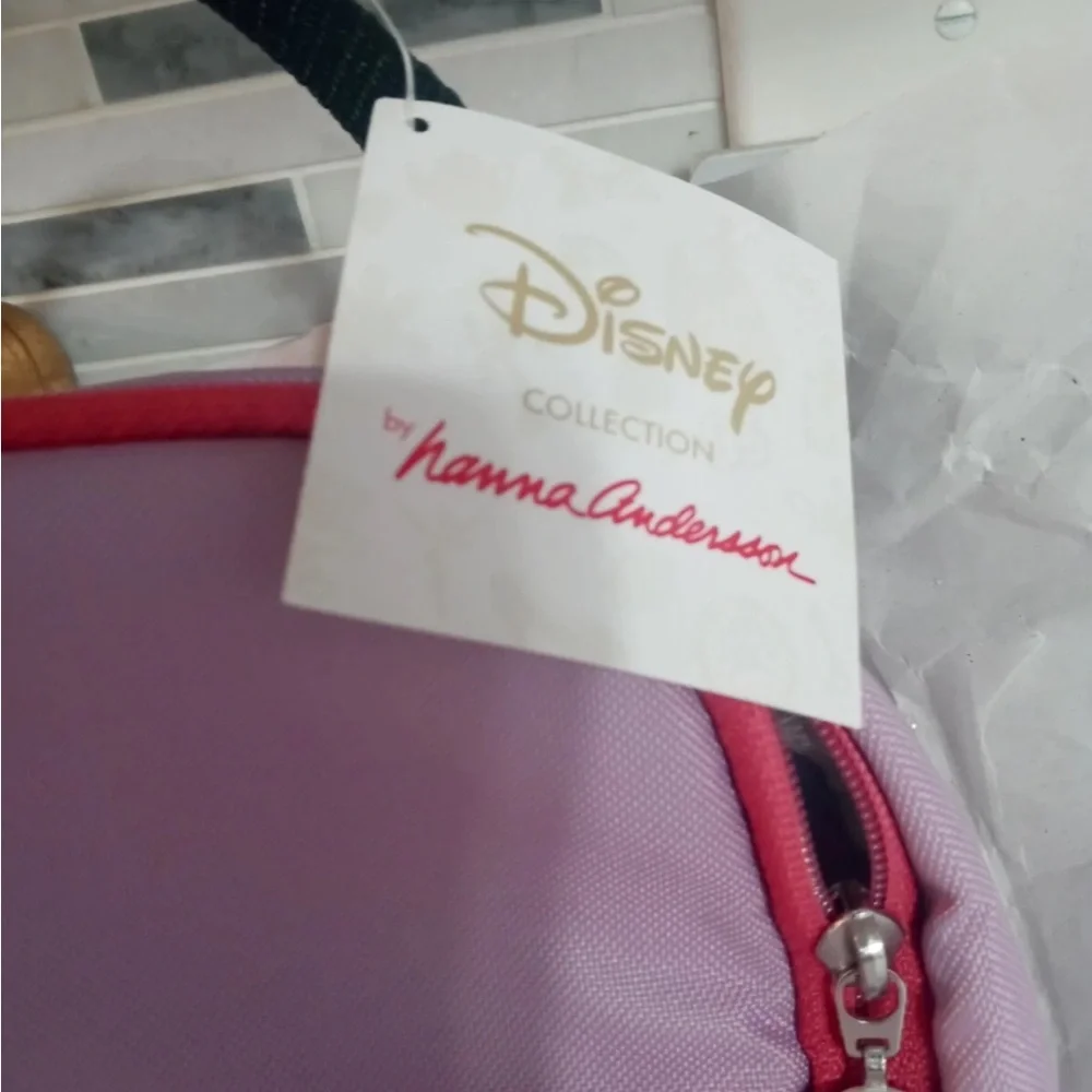 Disney x Hanna Anderrson Embroidered elsa anna zip around insulated lunch bag